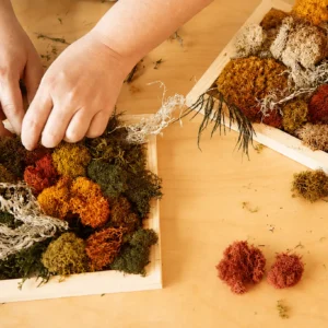 Warm Moss Art